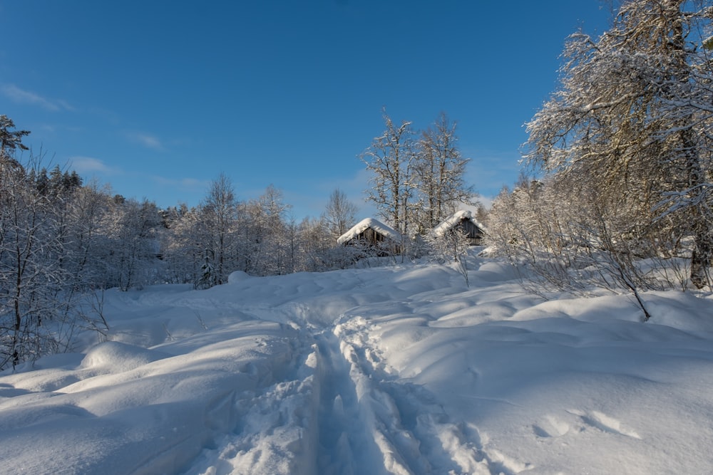 a path in the snow leading to a cabin