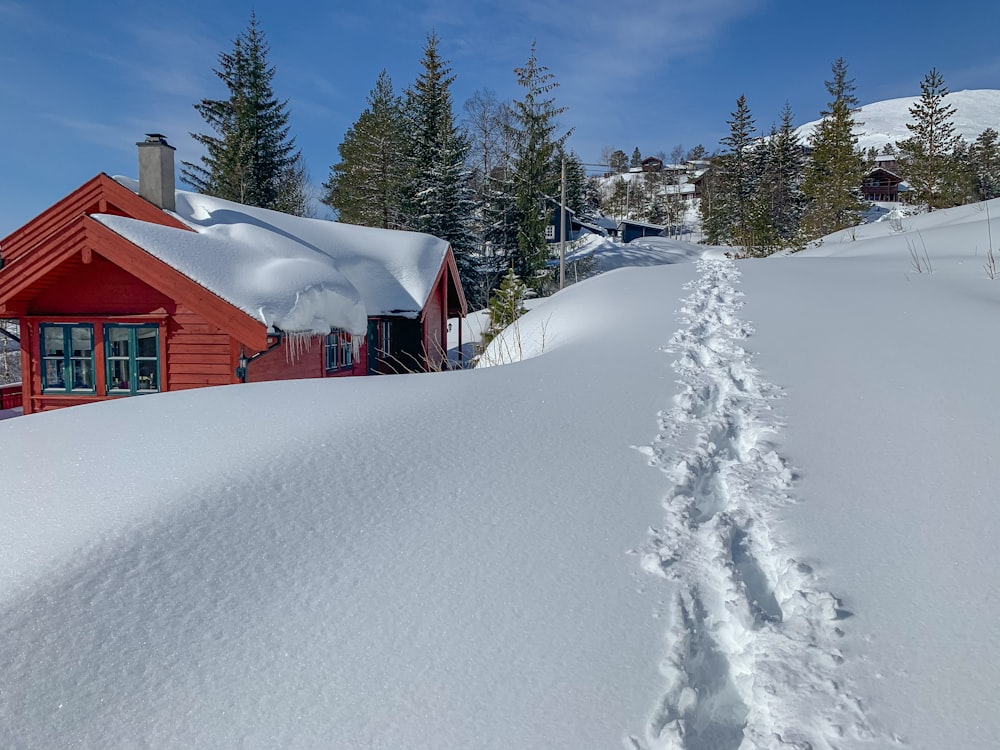 a trail of snow leading to a red cabin