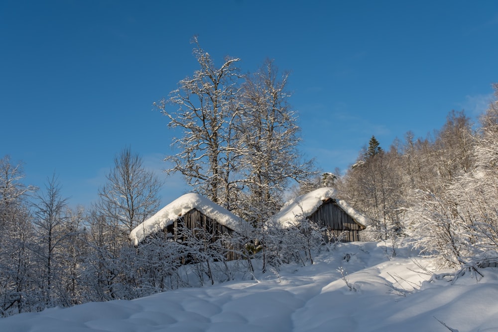 a snowy landscape with two cabins in the background