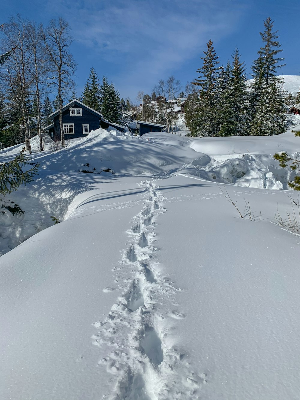 uma trilha na neve com uma casa ao fundo