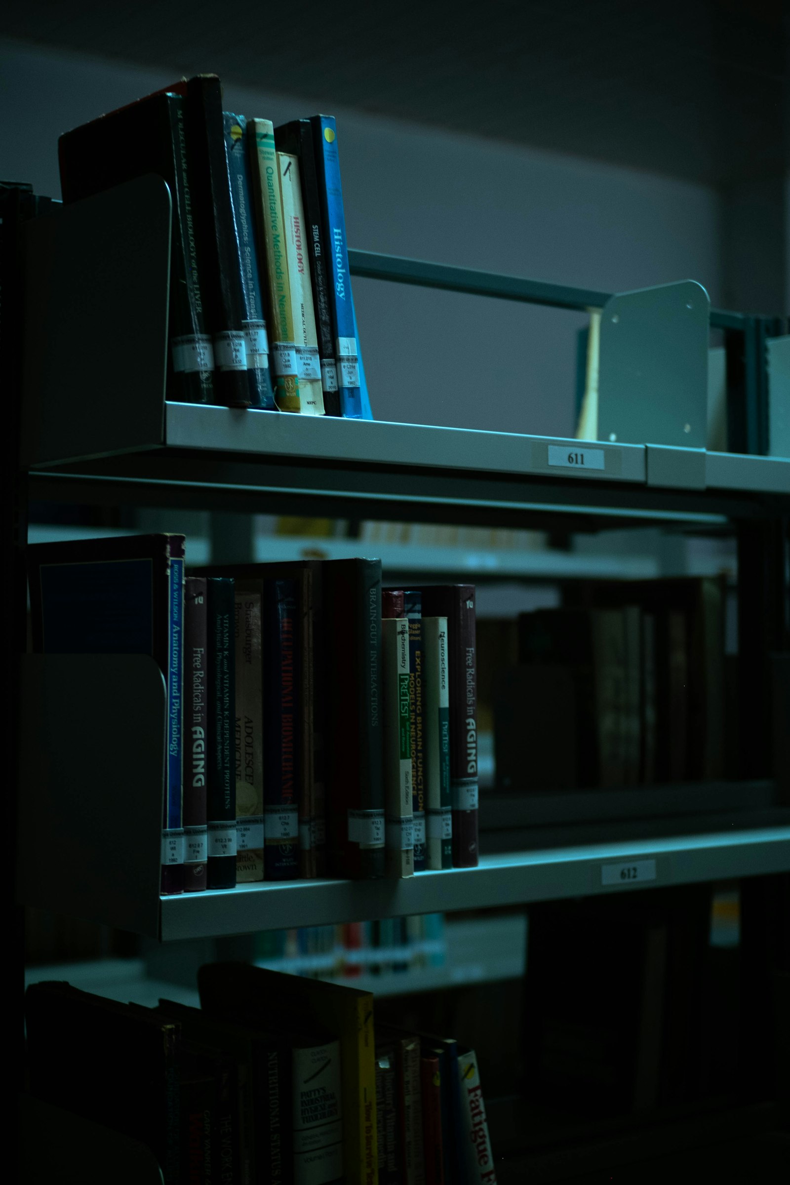 Bookshelf filled with books in a dark room