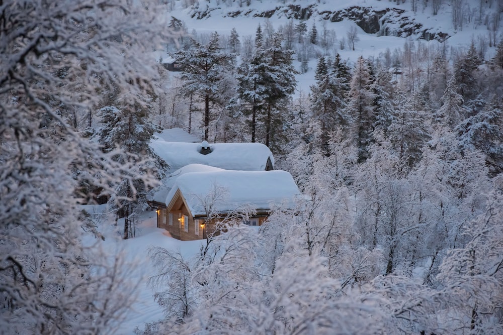 una capanna nel bosco coperta di neve