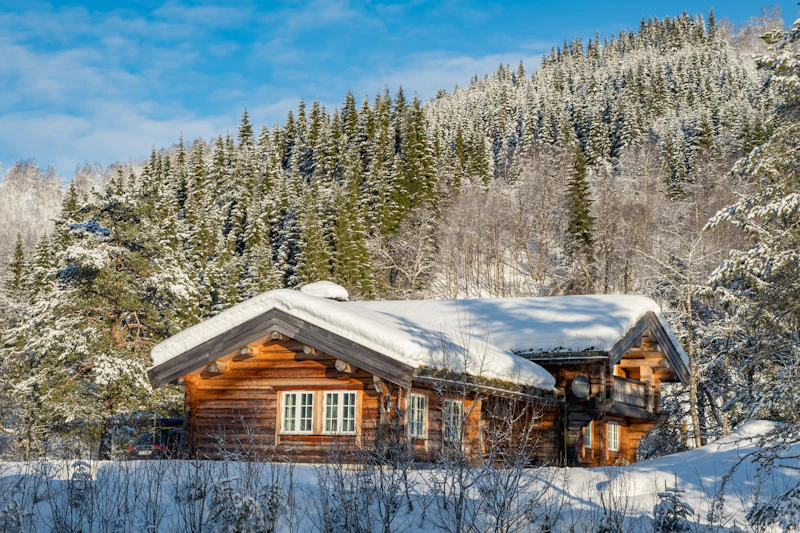 A log cabin in a snowy forest