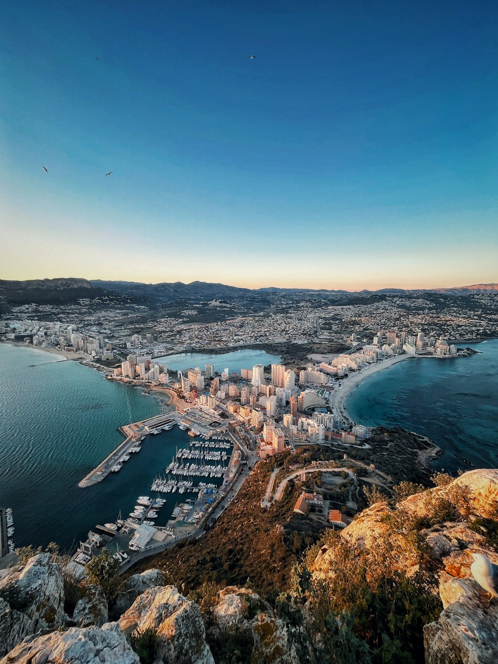 an aerial view of a city and a harbor