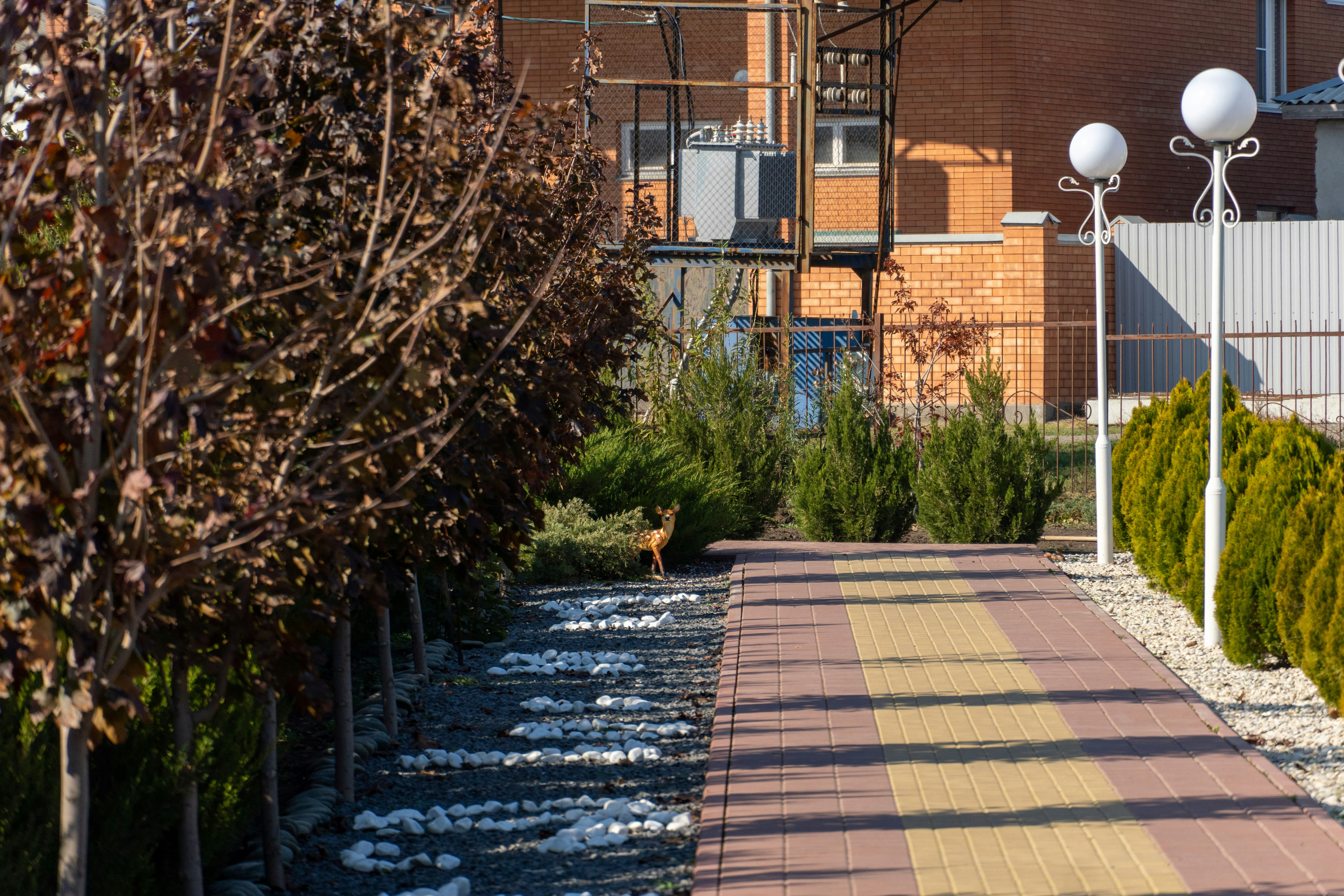 Photo by lostillusion