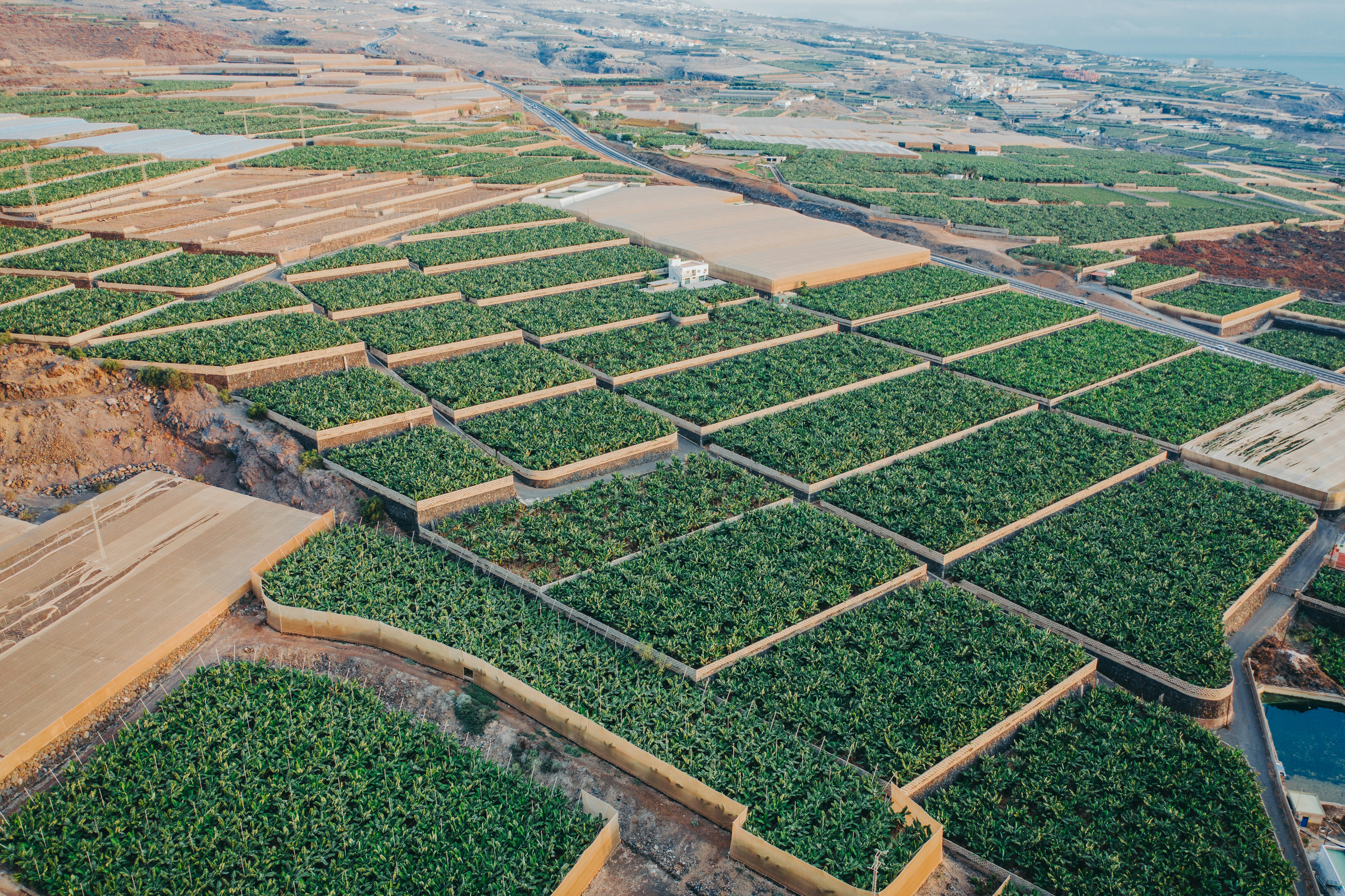uma vista aérea de uma fazenda com fileiras de culturas