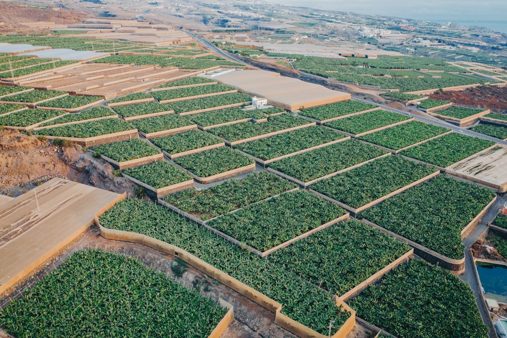 an aerial view of a farm with rows of crops