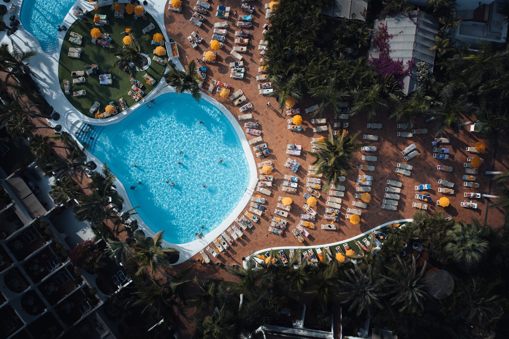 an aerial view of a resort pool surrounded by palm trees