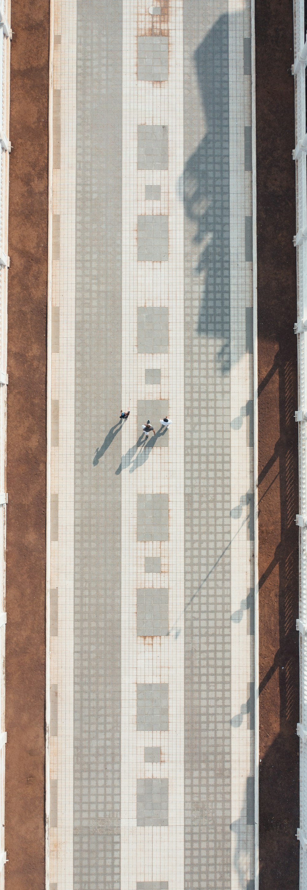 a couple of birds sitting on the side of a building