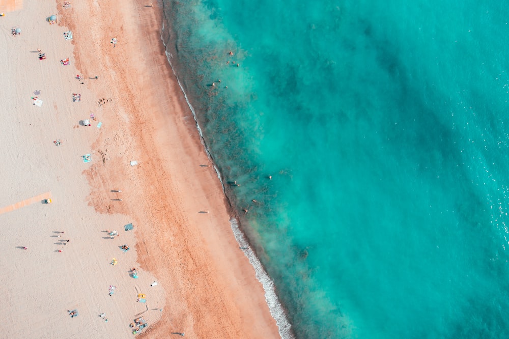 una vista aerea di una spiaggia con persone su di essa