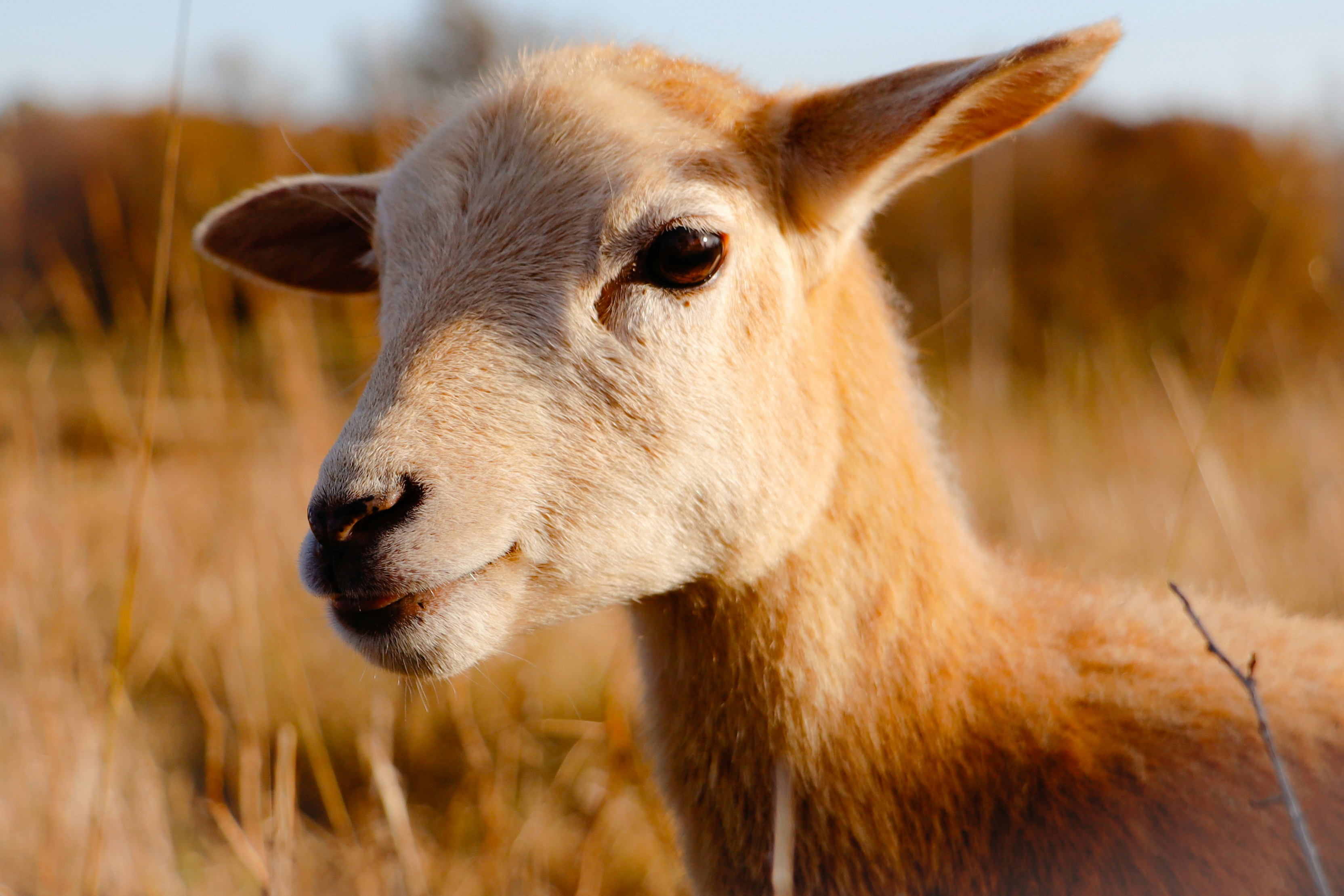 Photo by ezekiel_see