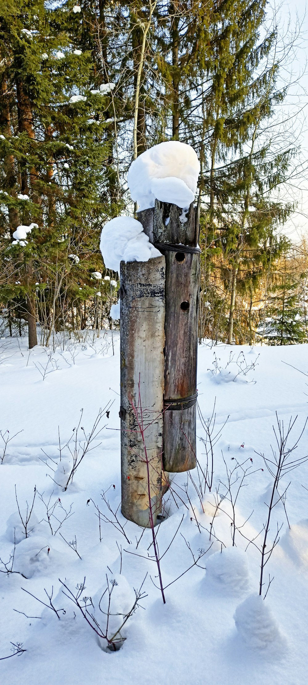 a wooden post covered in snow next to a forest