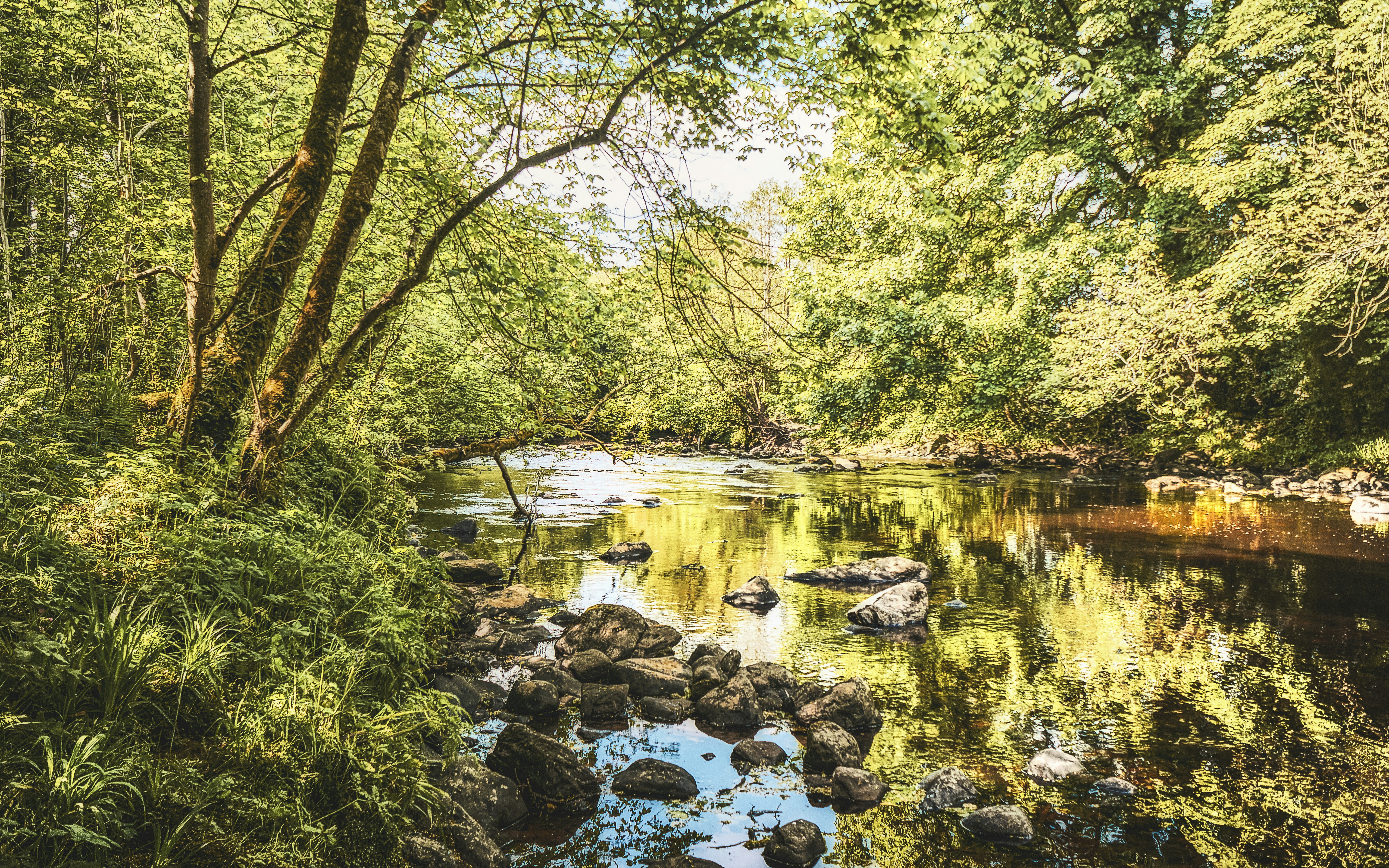 Photo by kmitchhodge