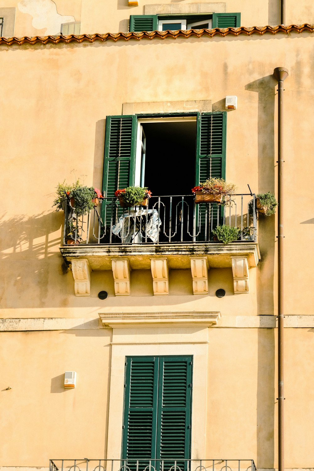 a balcony with green shutters and potted plants