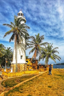 a man standing next to a palm tree near the ocean