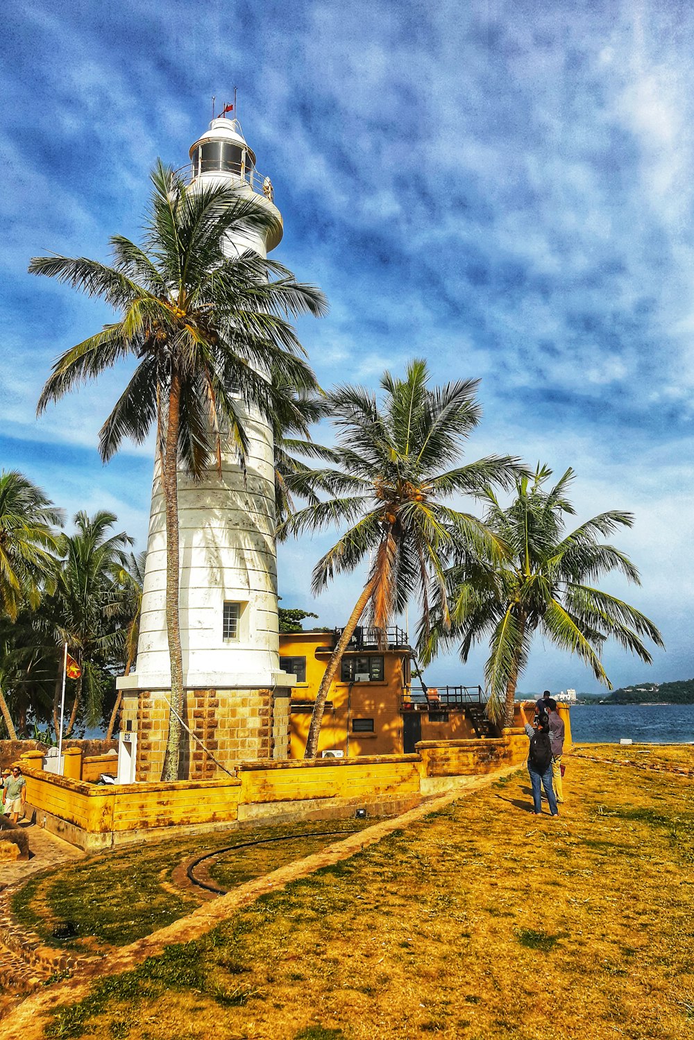 a man standing next to a palm tree near the ocean