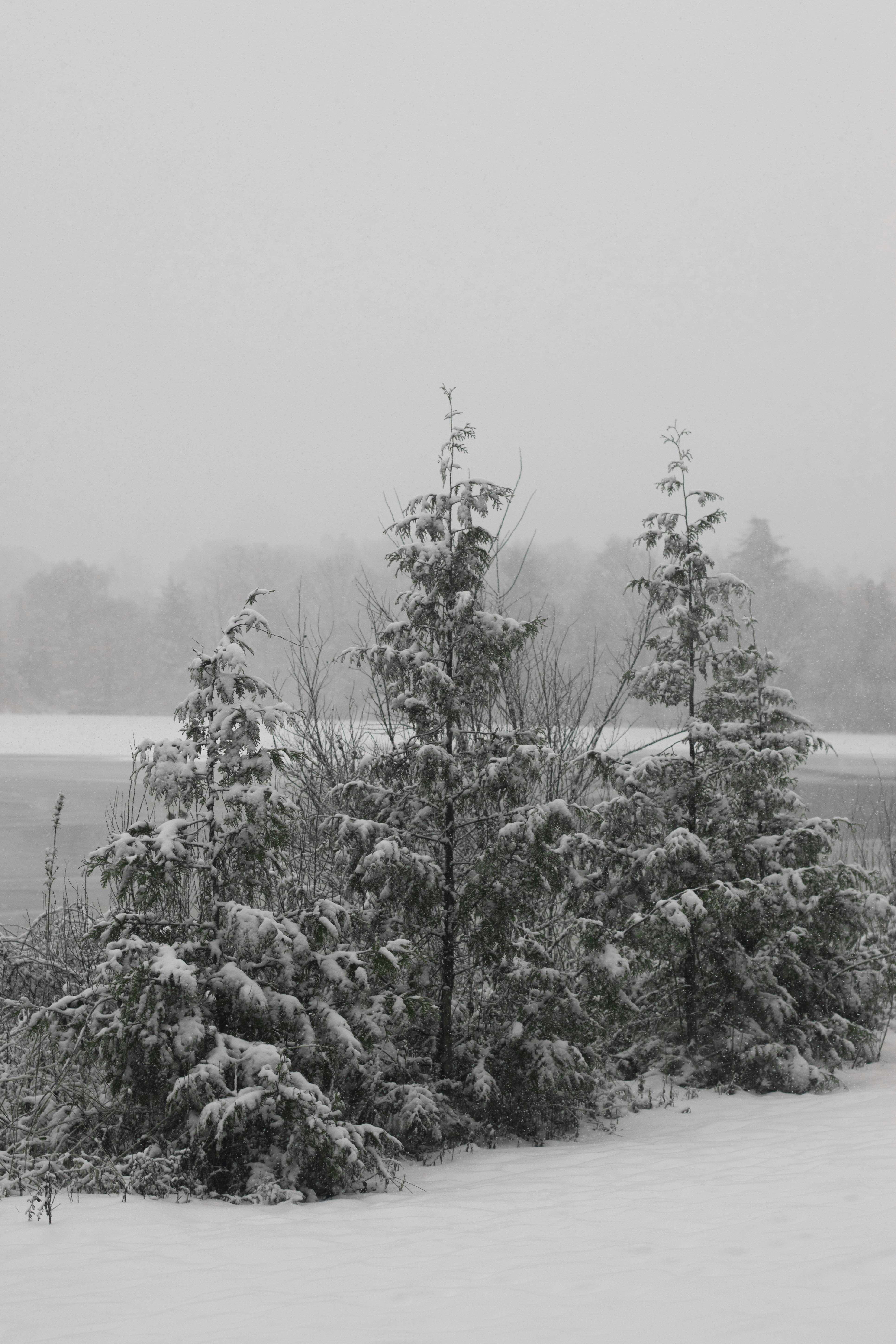 Photo by mariahhewines