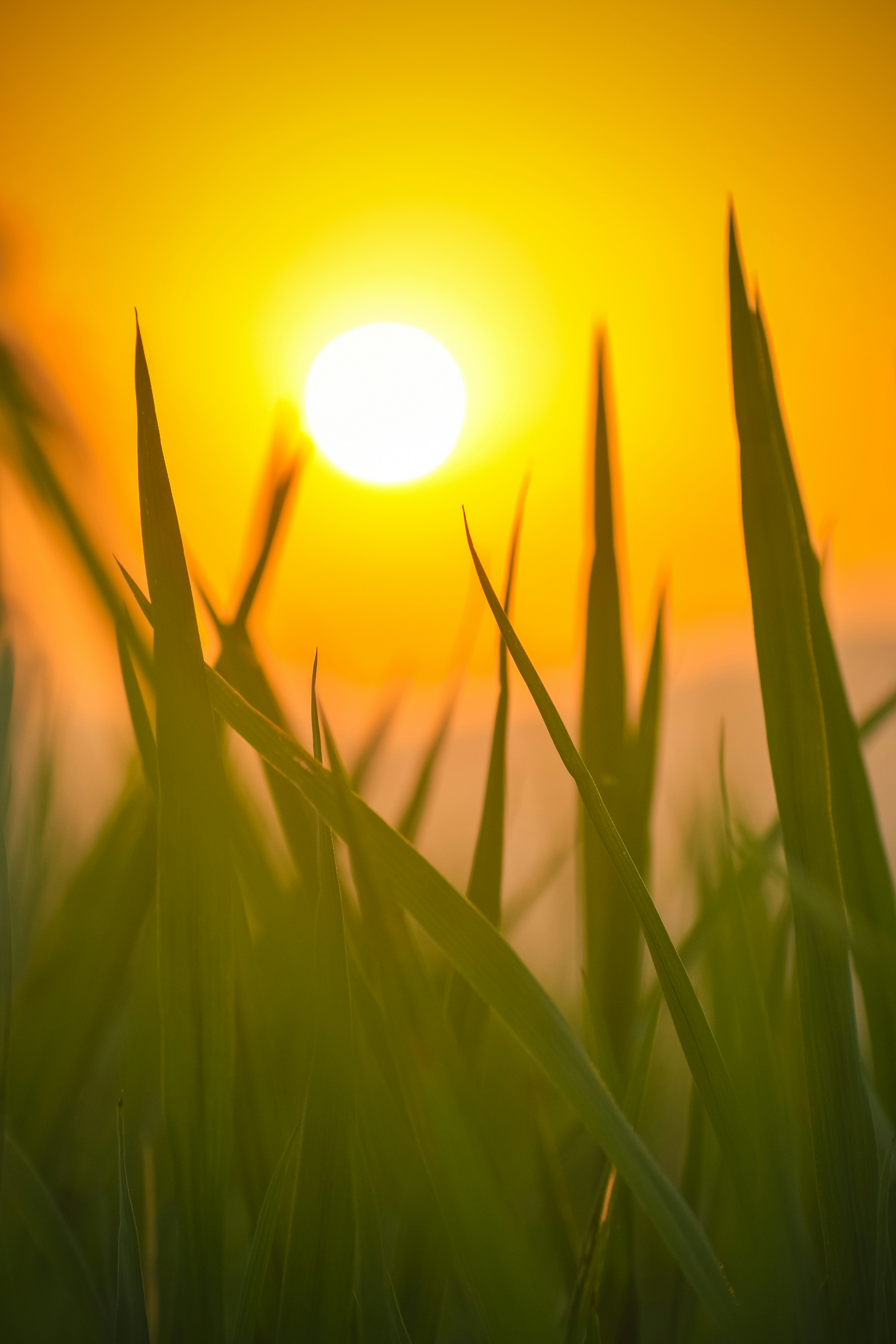 Photo by navi_photography