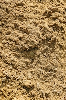 a close up view of a dirt surface