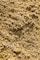 a close up view of a dirt surface