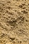 a close up view of a dirt surface