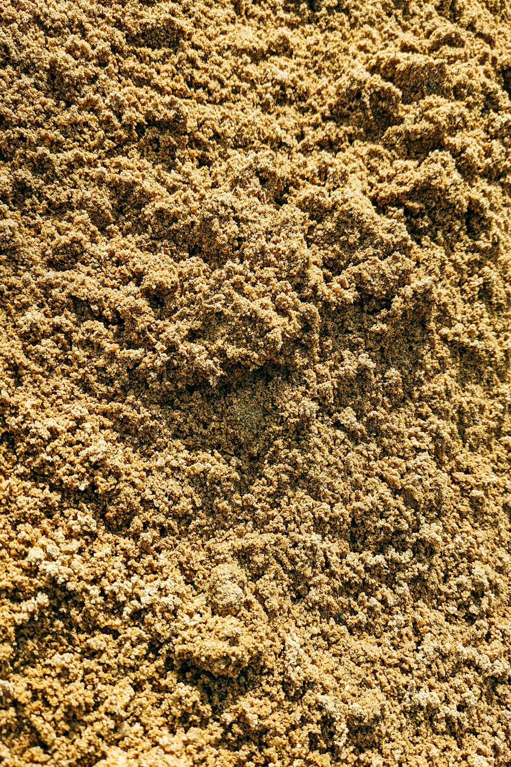 a close up view of a dirt surface