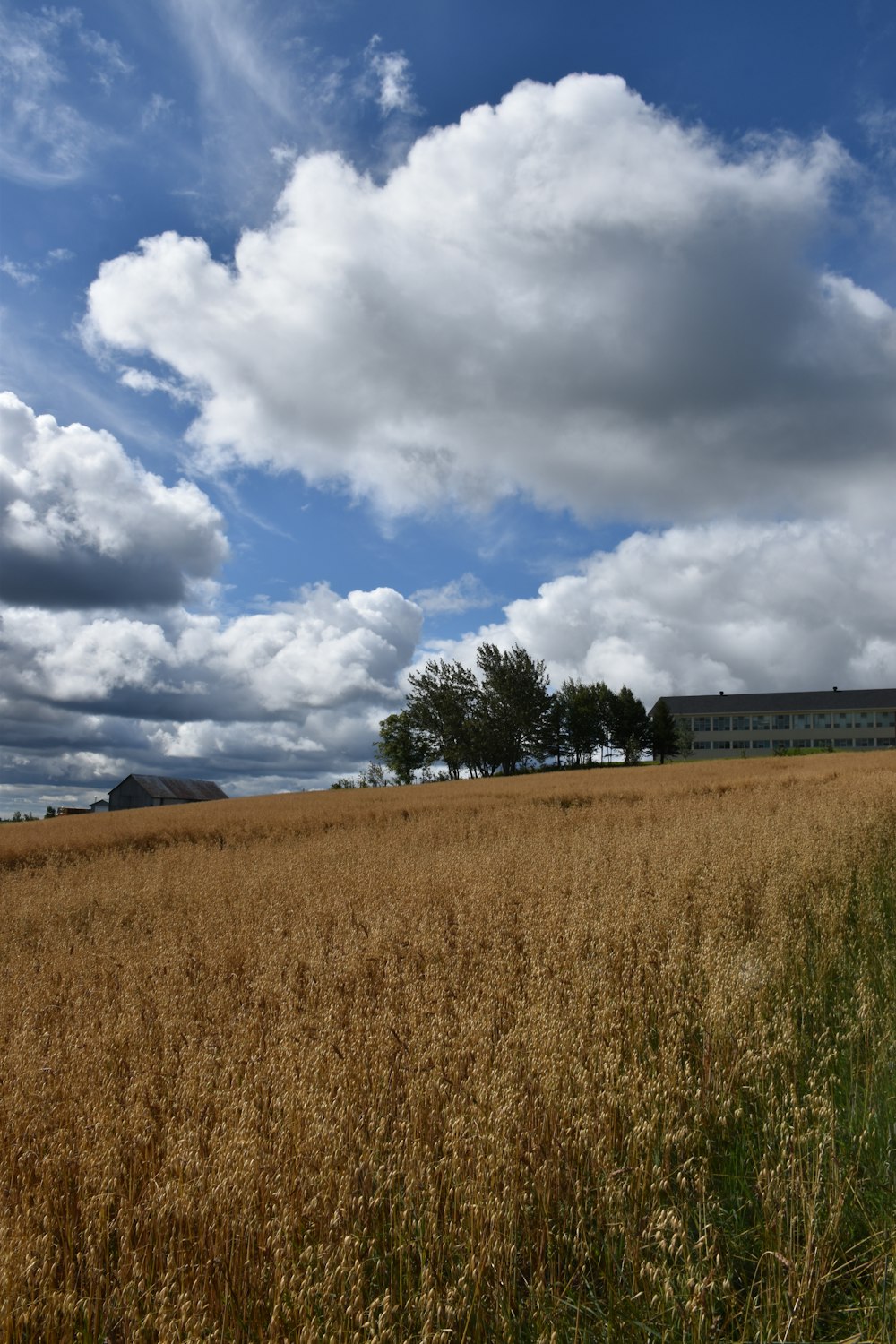 a large field with a building in the background