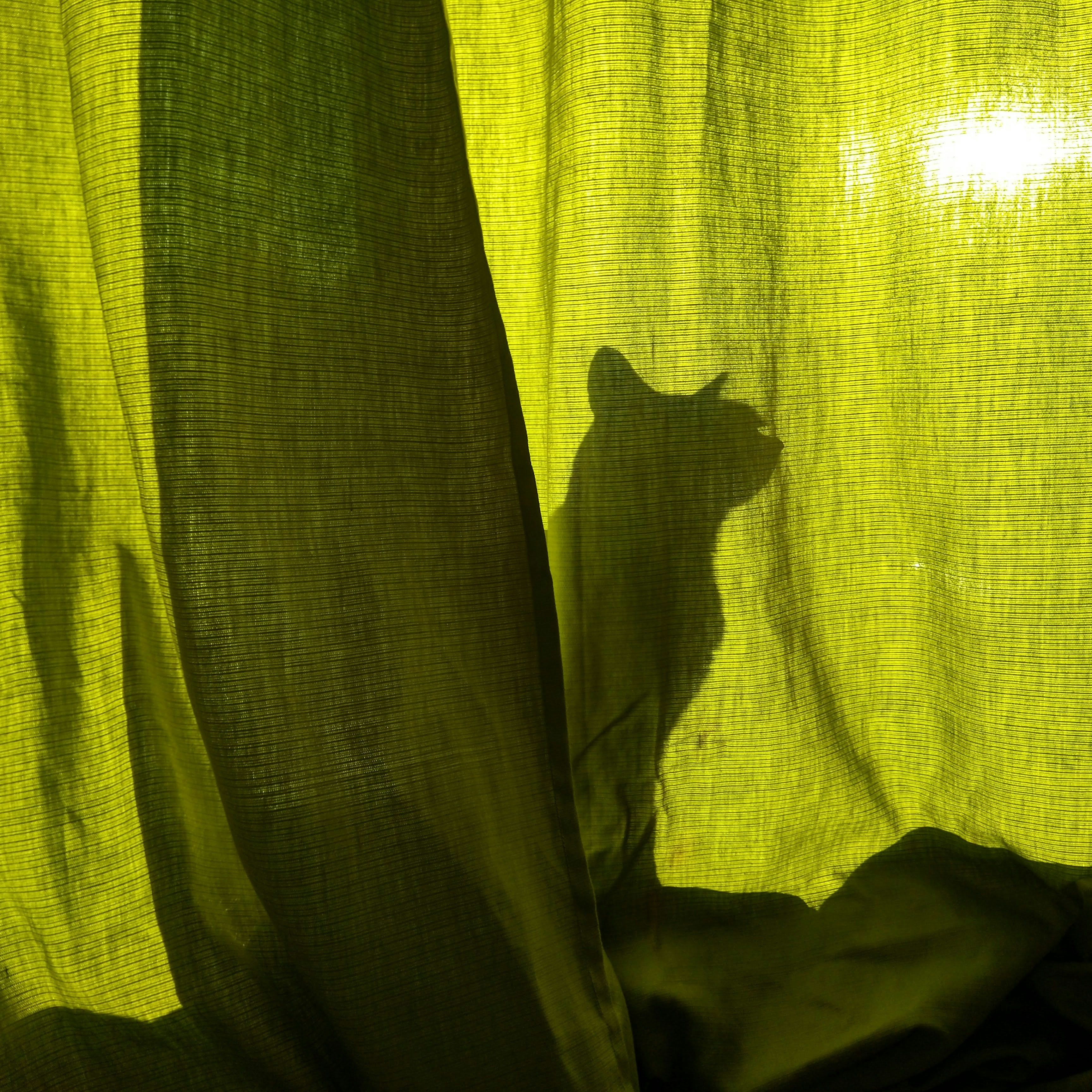 Photo by marcelozanon