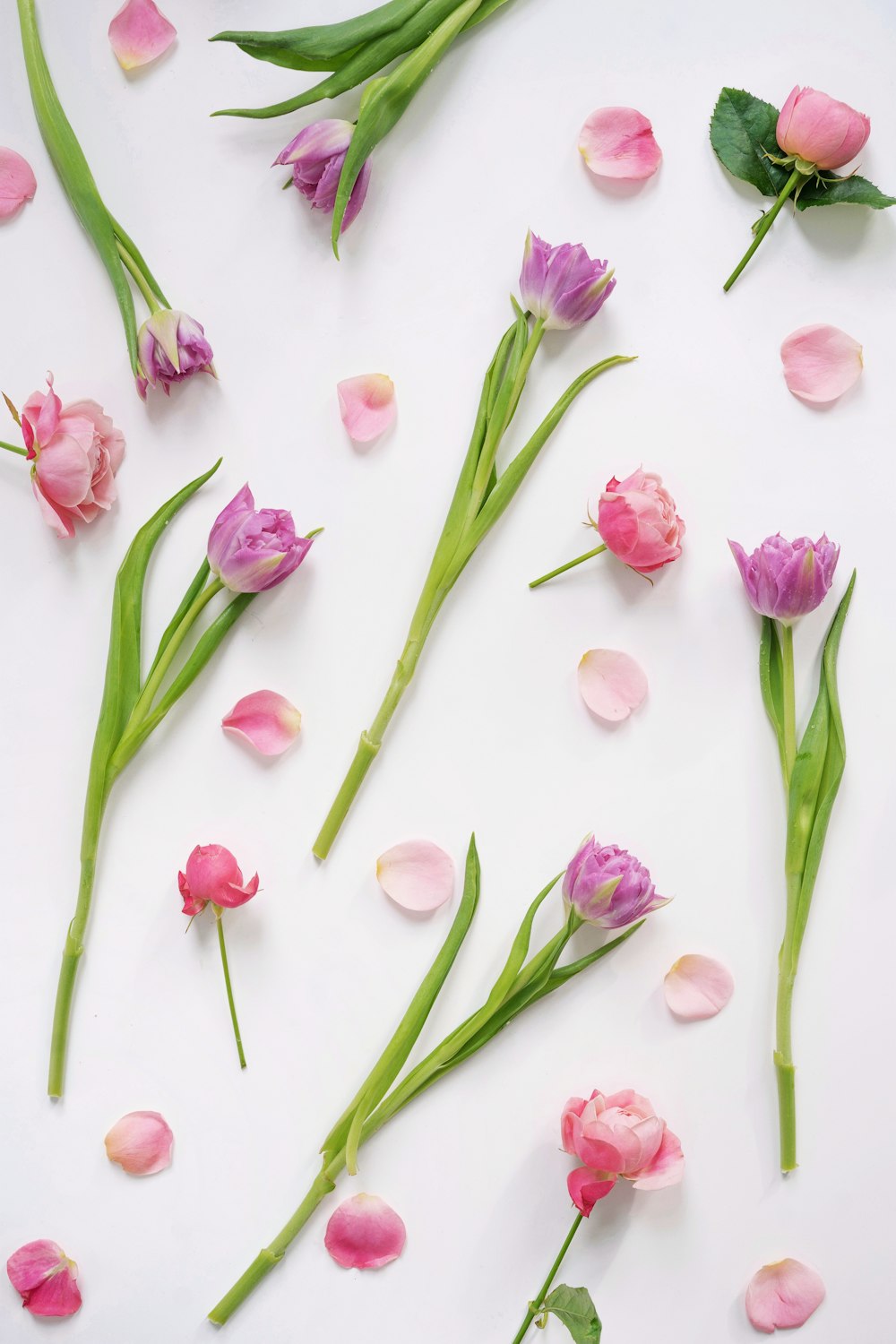 a bunch of pink and purple flowers on a white surface