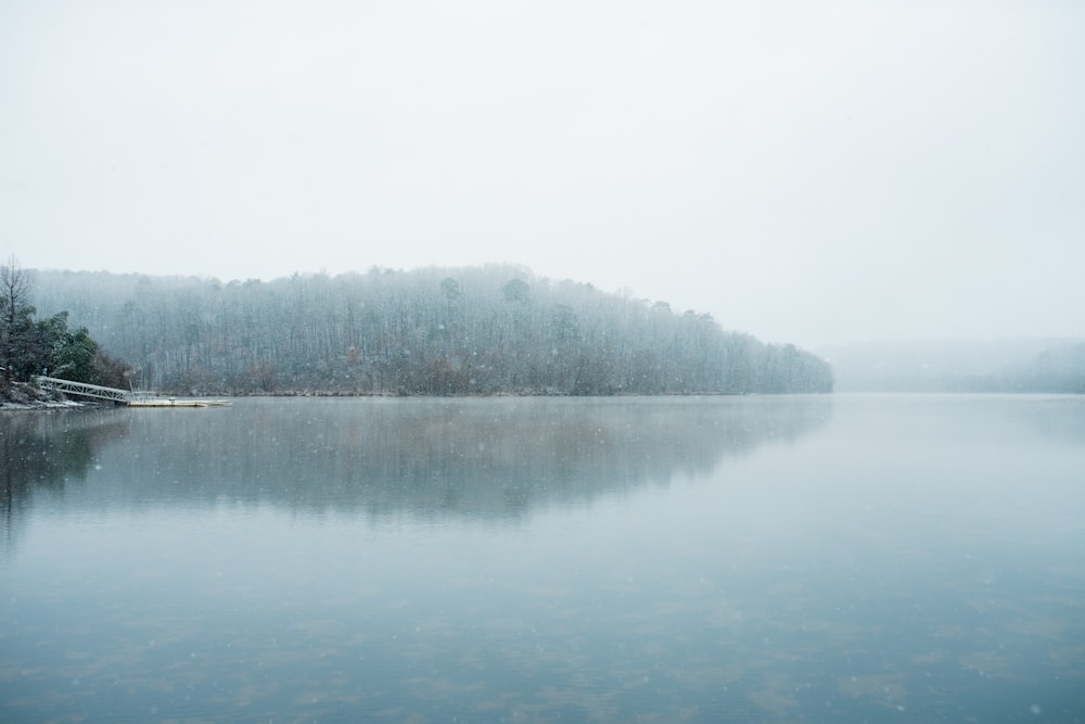 a body of water surrounded by a forest