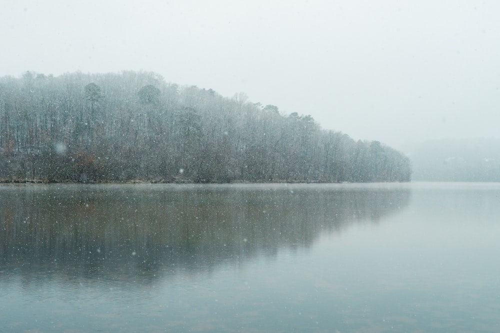 a body of water surrounded by trees covered in snow