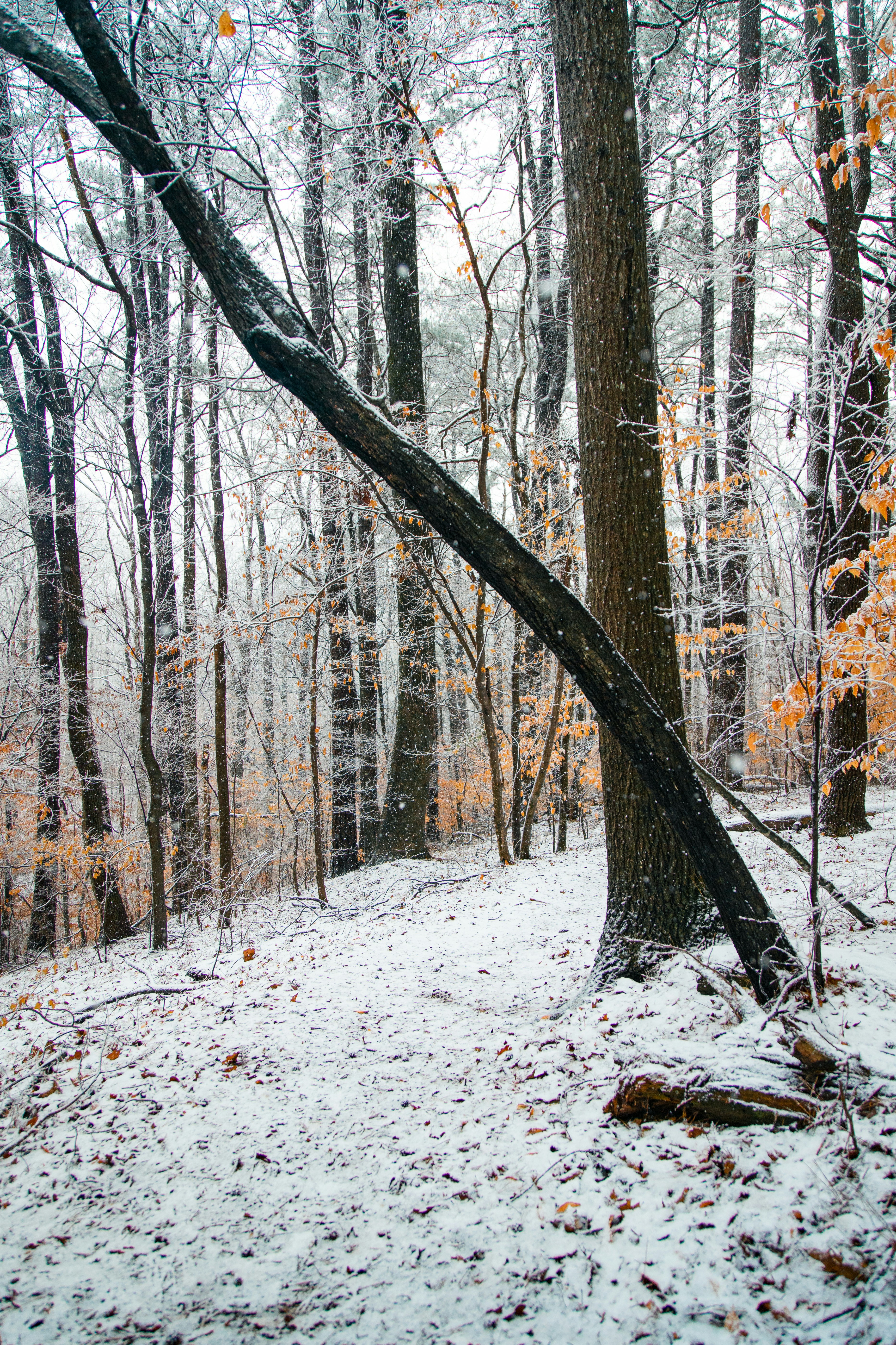 Photo by _benbracken