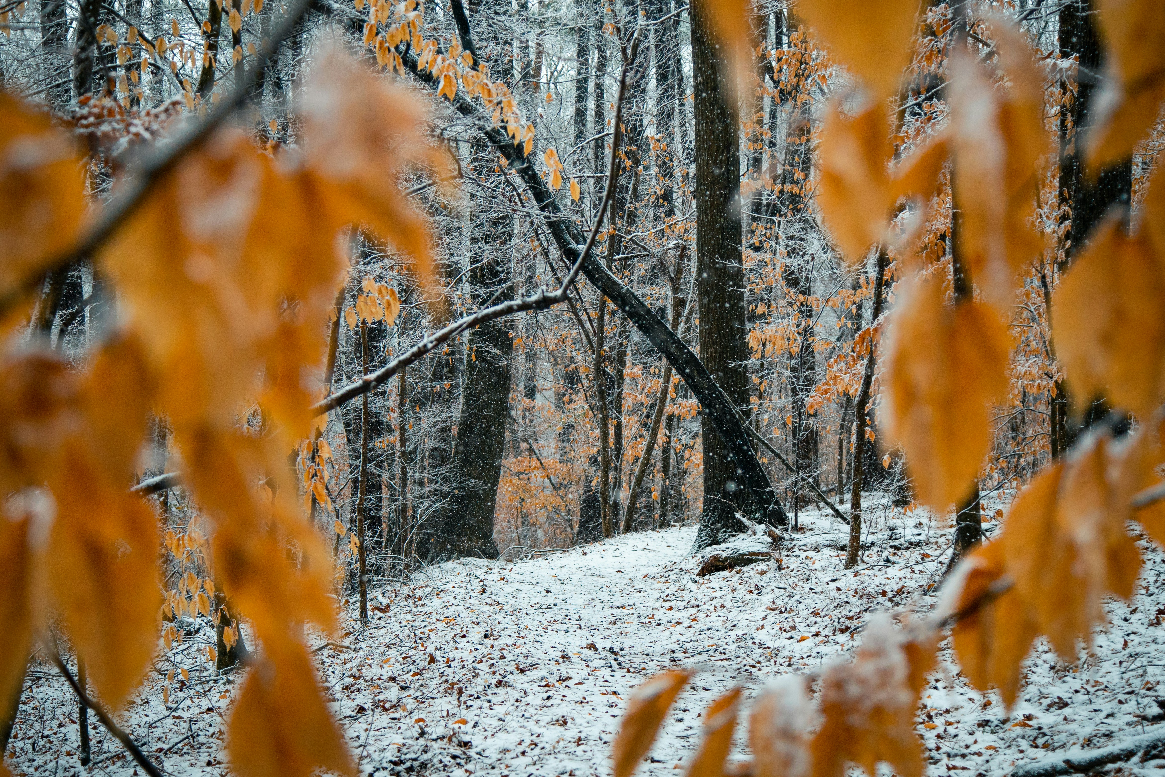 Photo by _benbracken