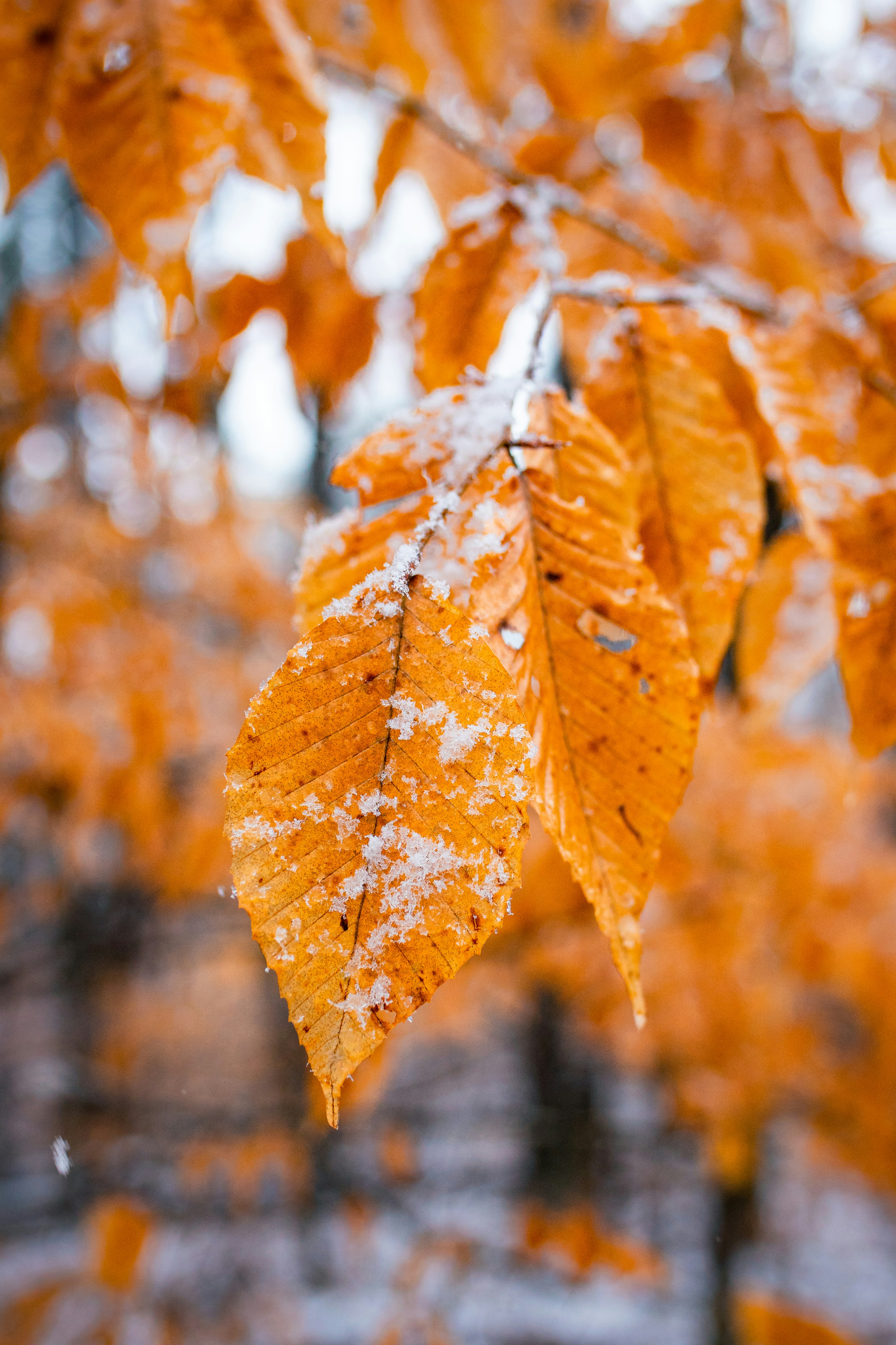 Photo by _benbracken