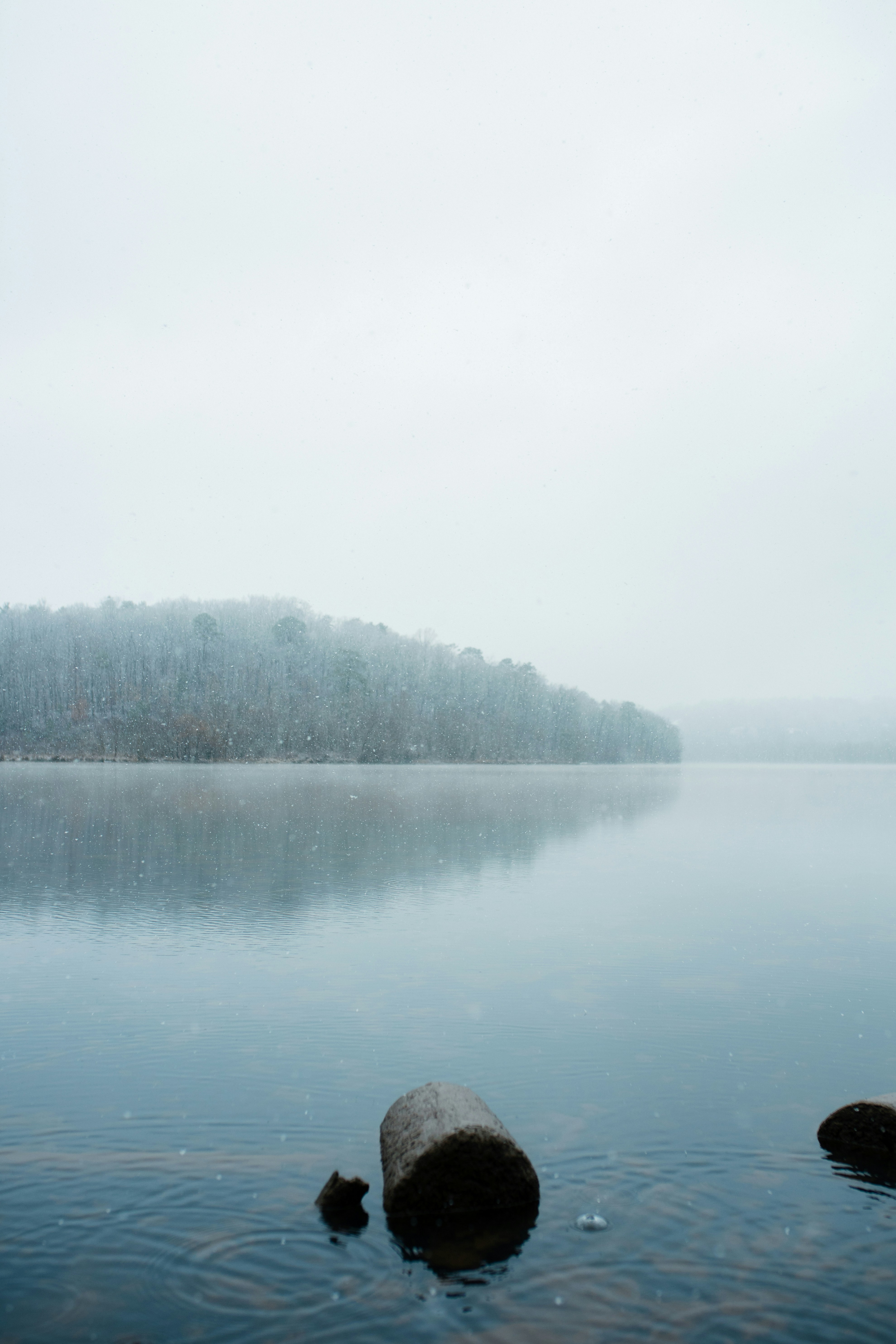 Photo by _benbracken