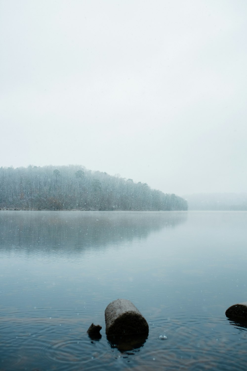 a body of water with rocks in it