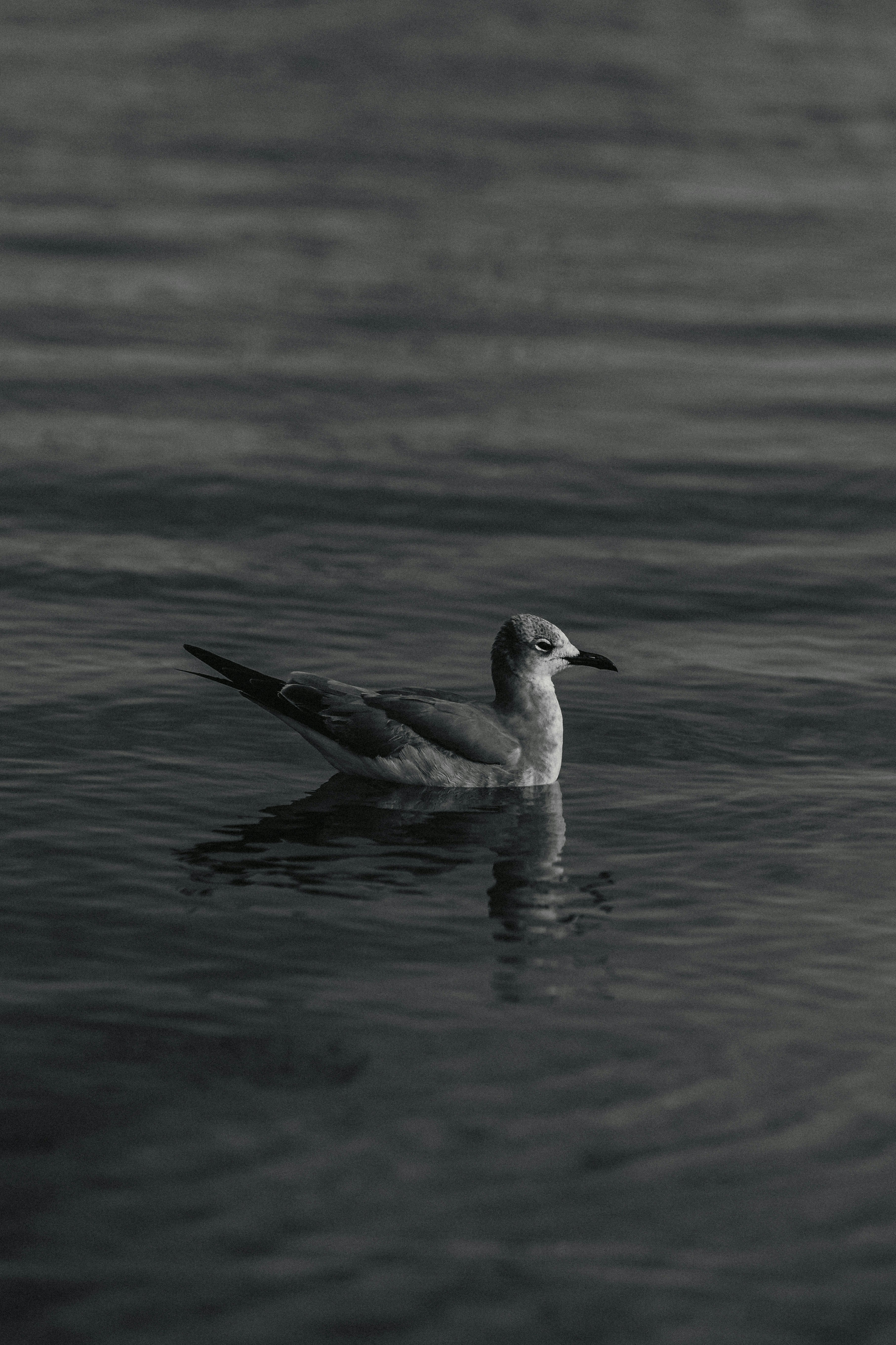 Photo by _benbracken