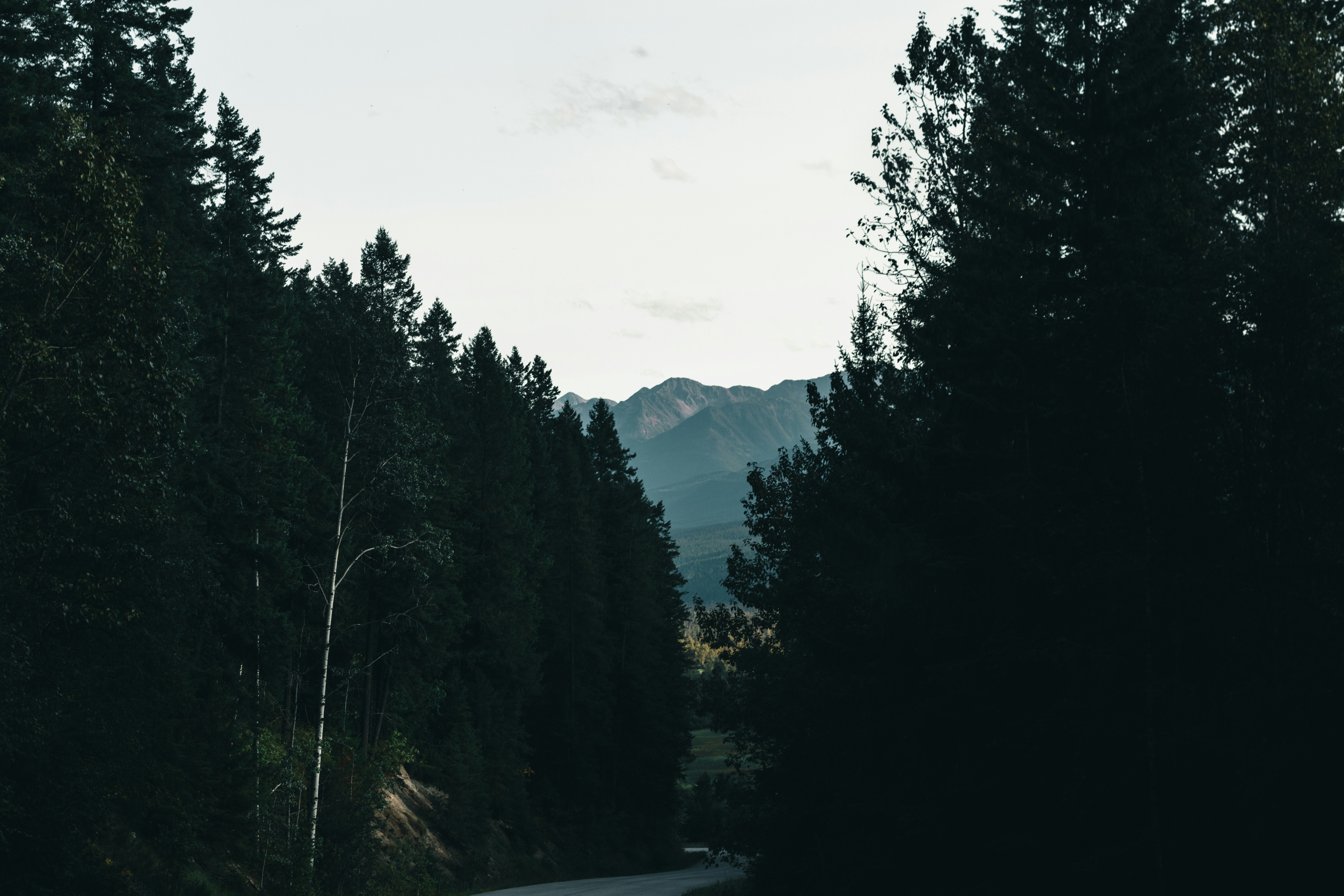 Photo by lureofadventure