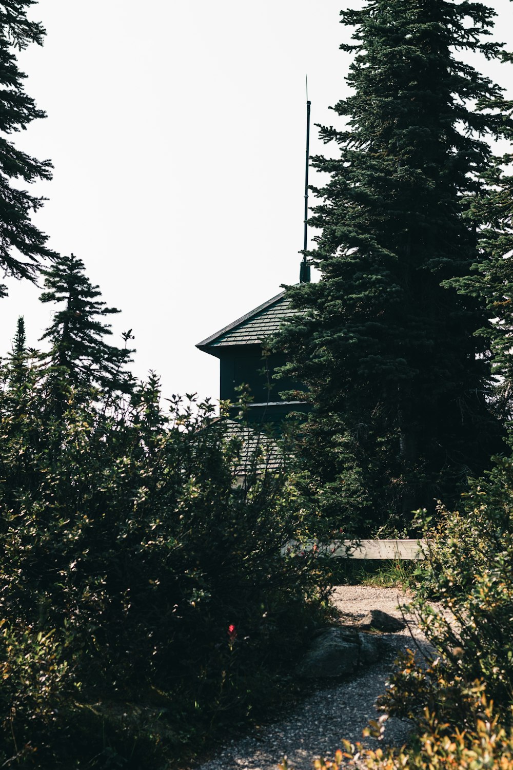 Un piccolo edificio nel mezzo di una foresta