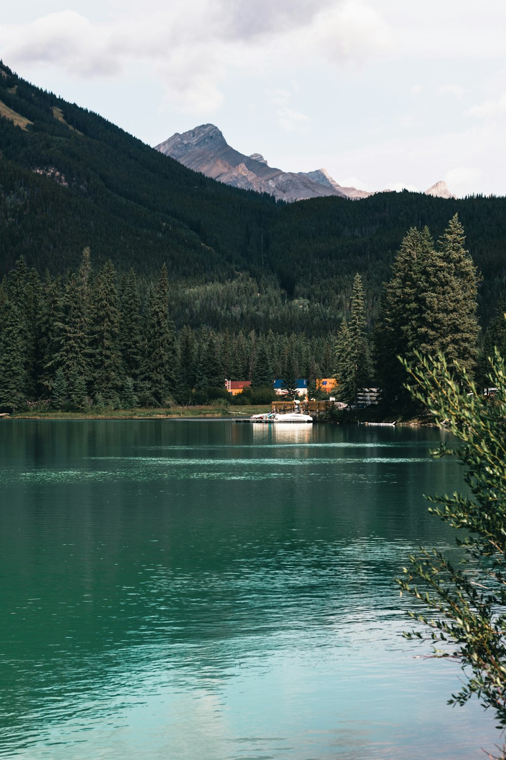 un plan d’eau entouré de montagnes et d’arbres