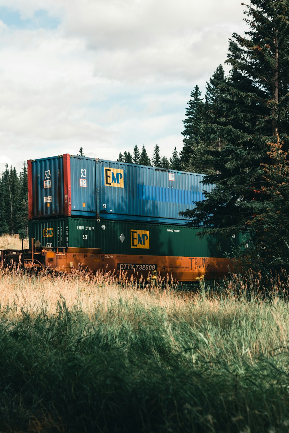 a train traveling through a lush green forest