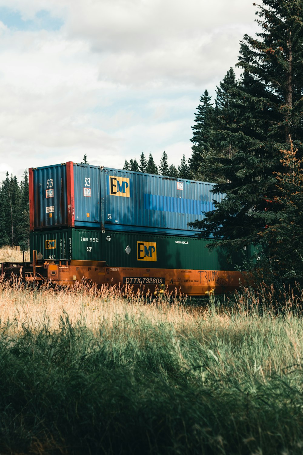 Un tren que viaja a través de un exuberante bosque verde