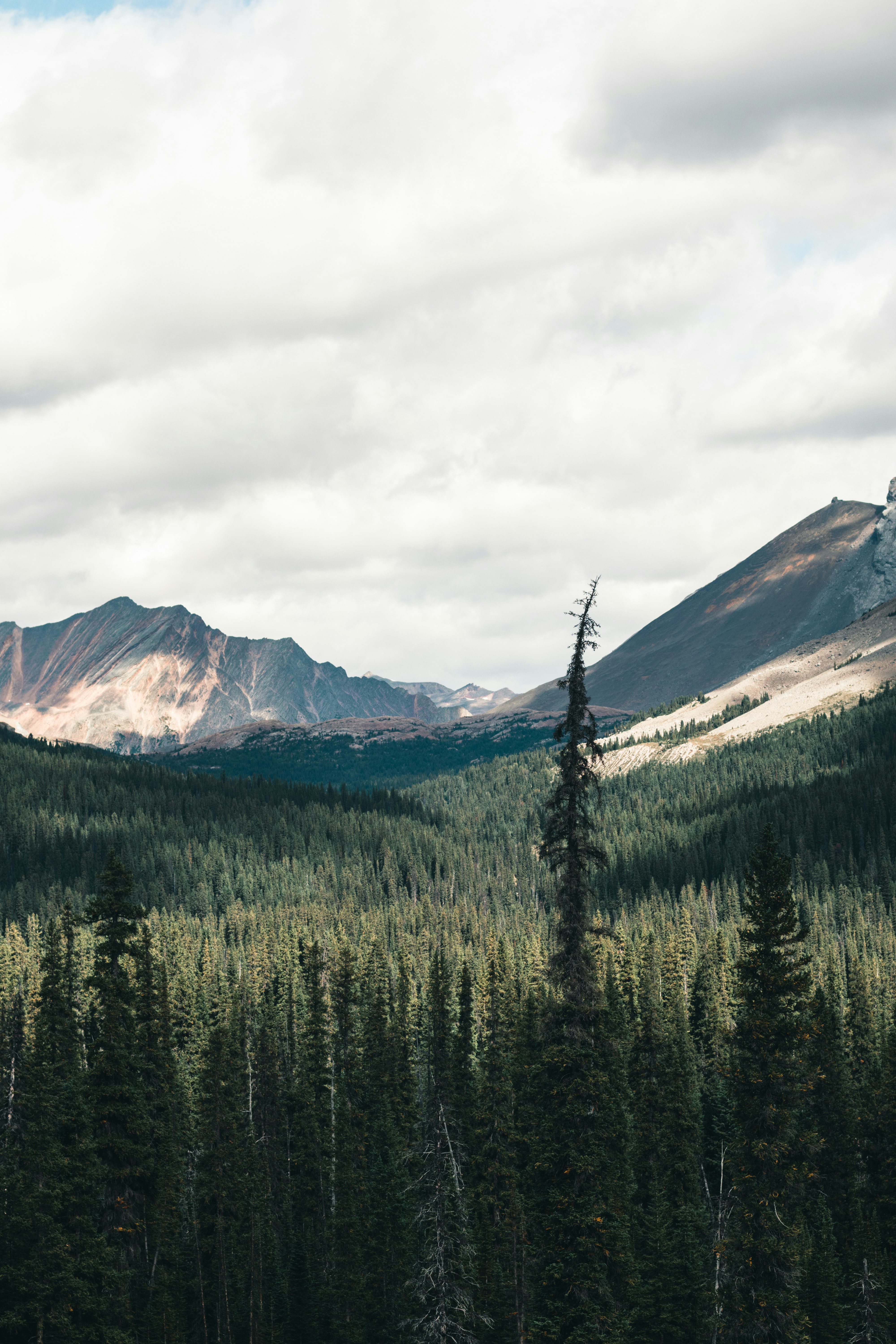 Photo by lureofadventure