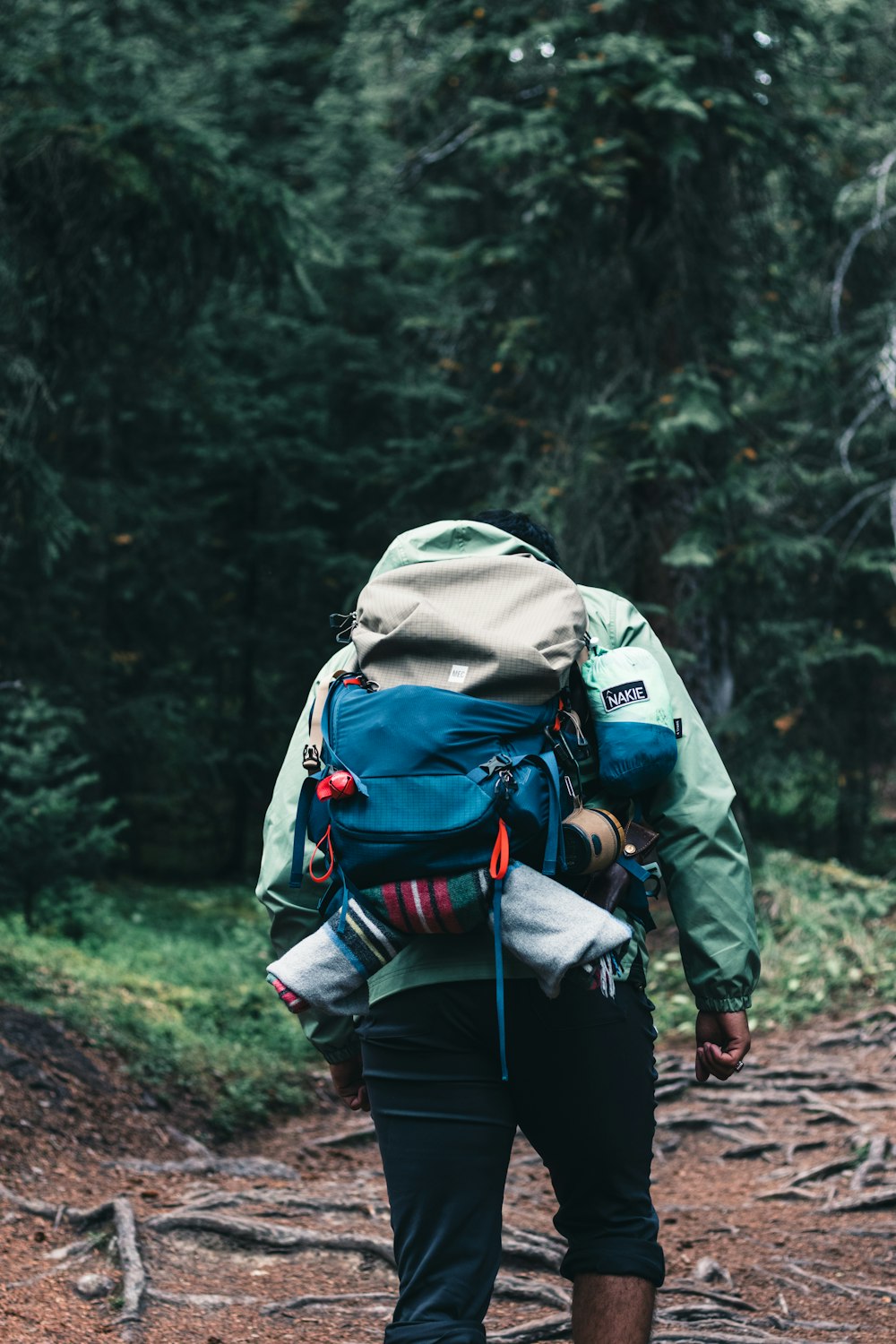 a person with a backpack walking on a trail