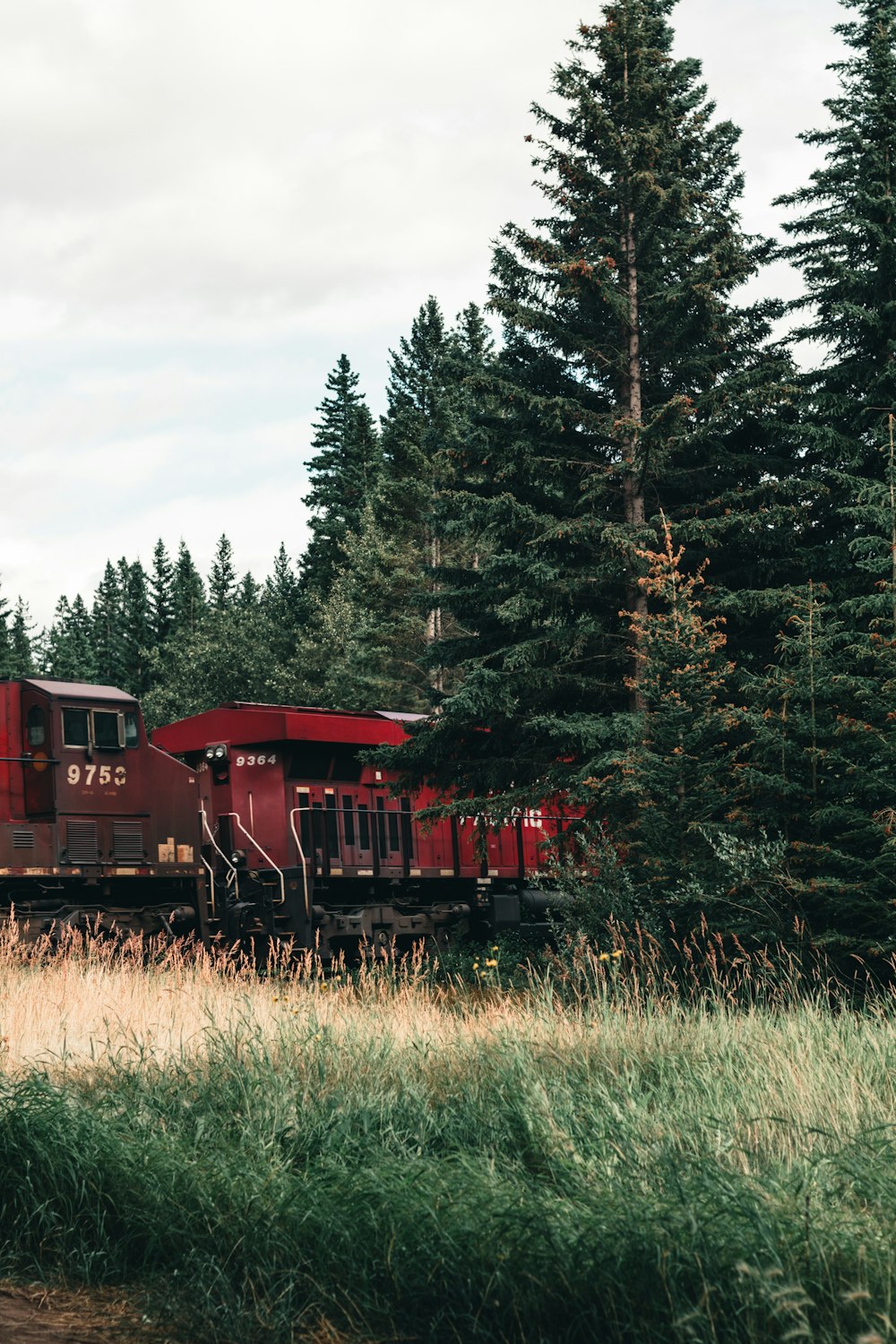 緑豊かな森の中を走る赤い列車
