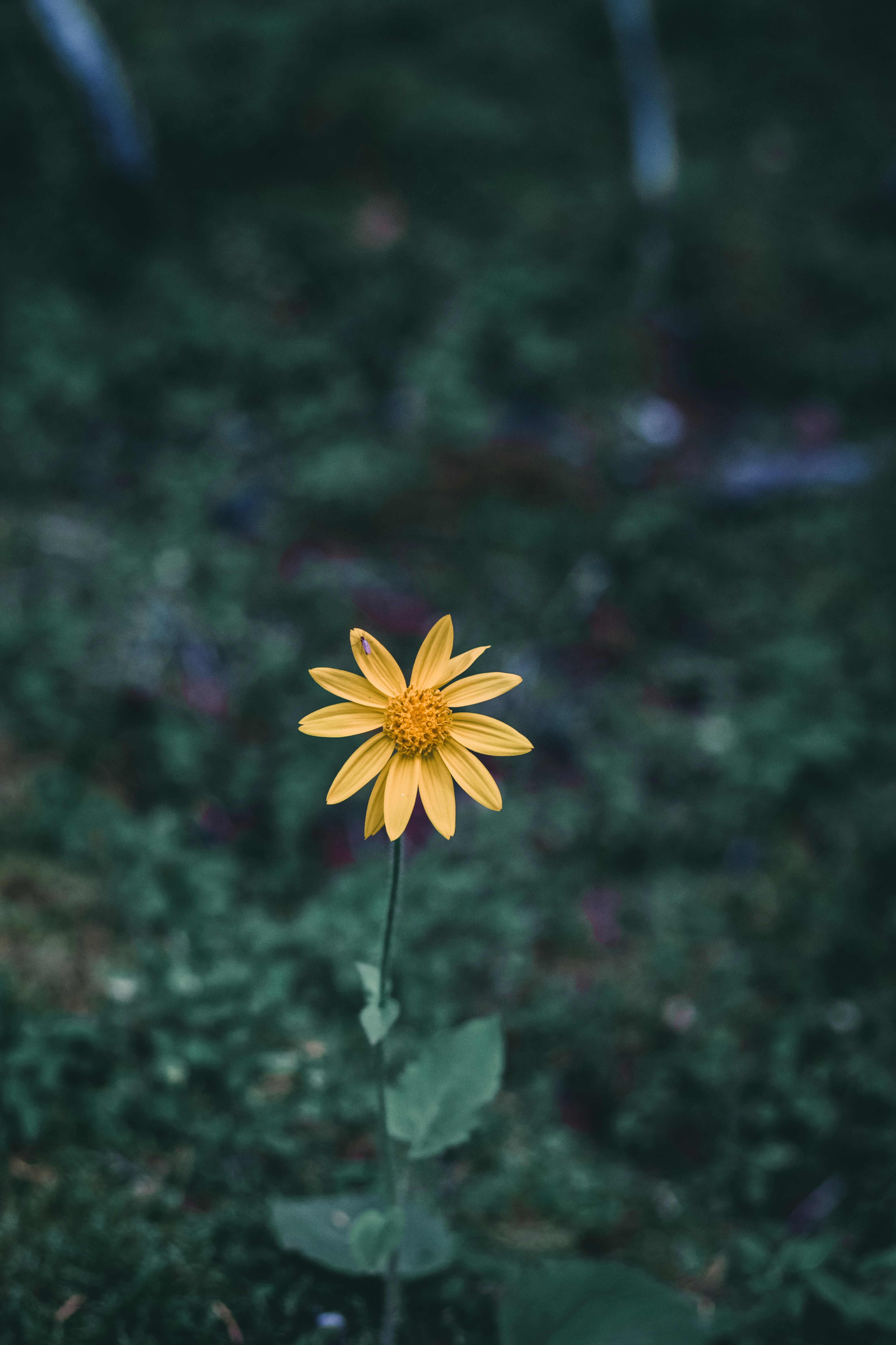 Photo by lureofadventure