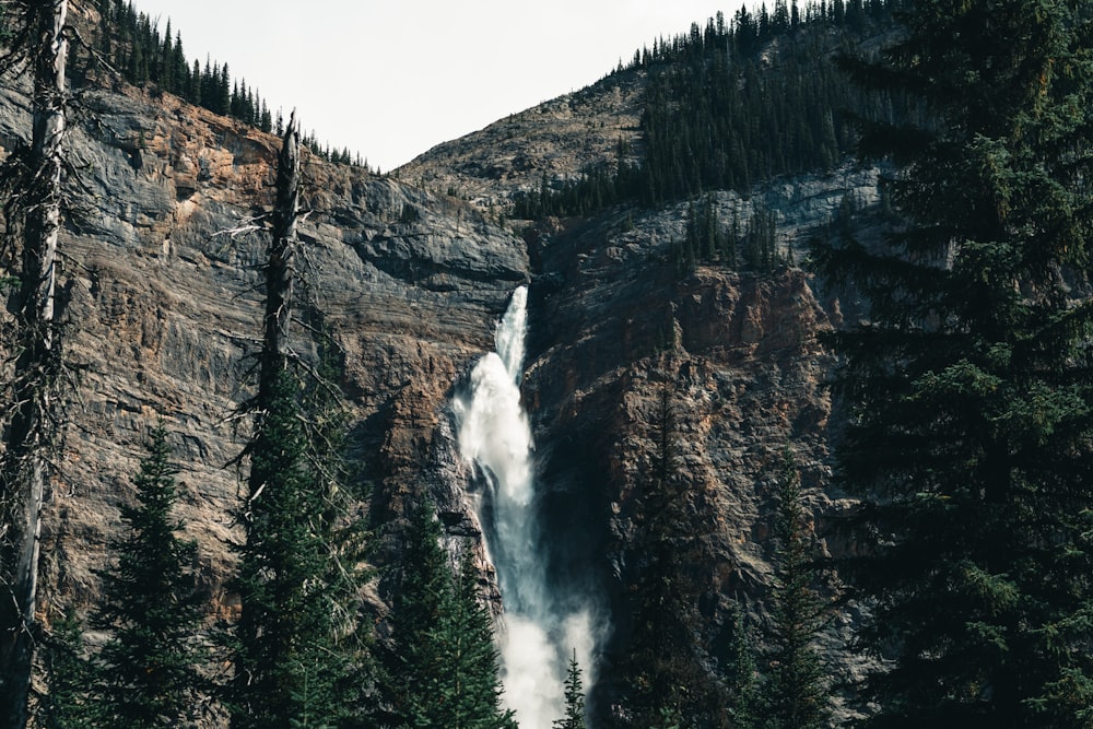 a tall waterfall surrounded by trees in a forest