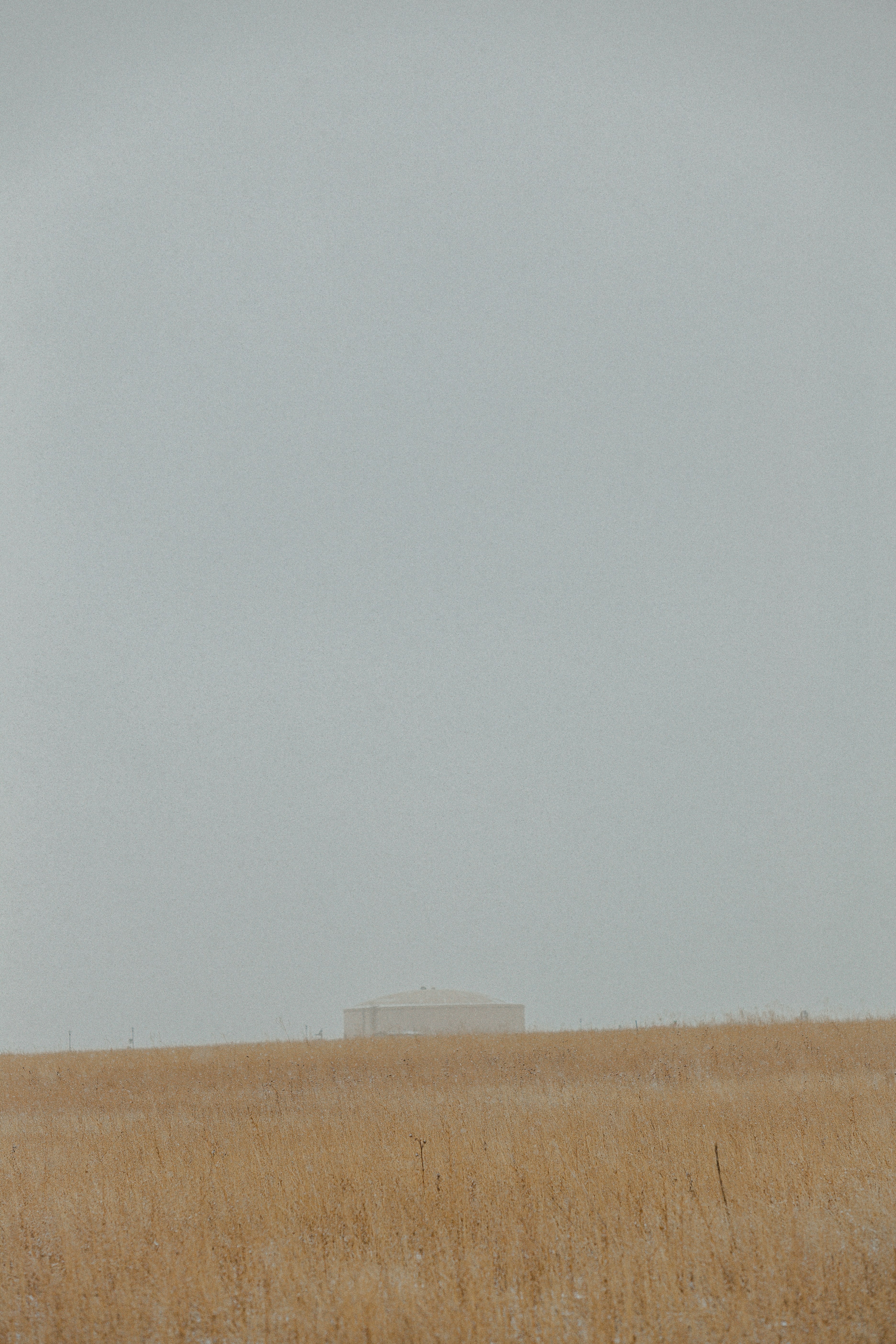 photo-1643902081195-e54c55cdb193?ixid=M3wxMjA3fDB8MXxzZWFyY2h8MTB8fHNpdHVzJTIwN21ldGVyfGVufDB8fHx8MTc1ODU0MjA5NHww\u0026ixlib=rb-4.1.0