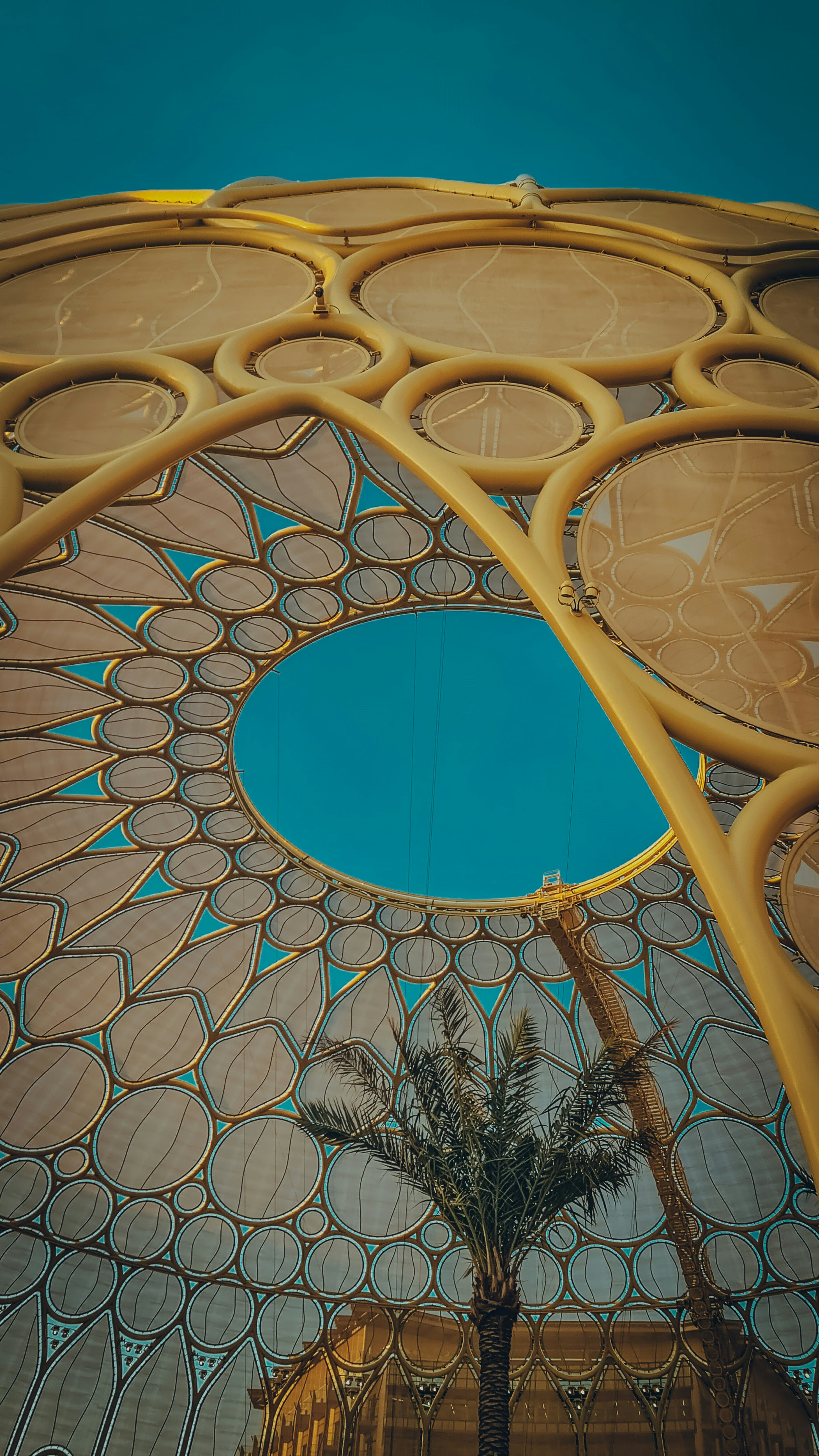 a palm tree in front of a domed building