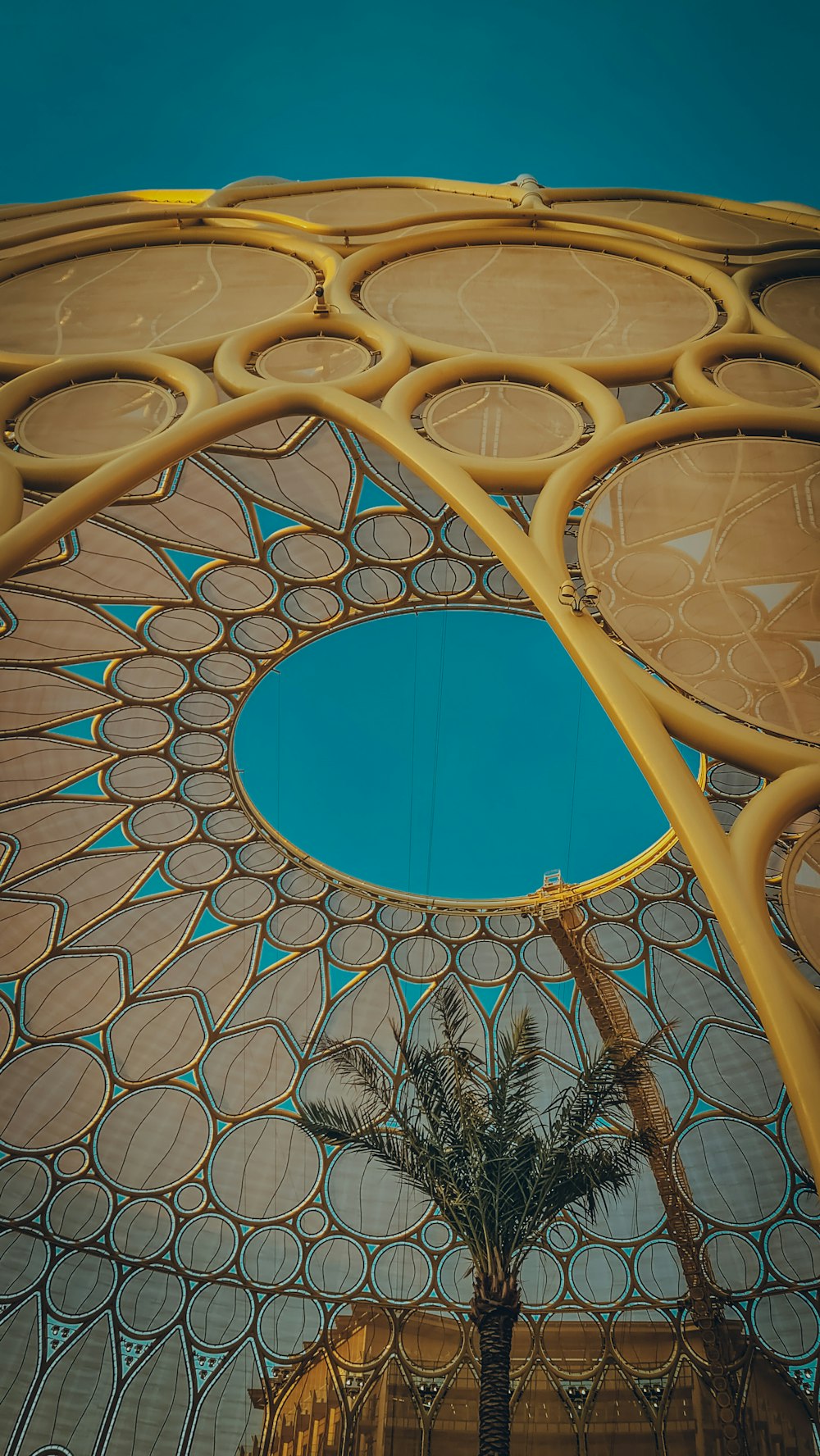 a palm tree in front of a domed building